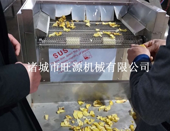 地瓜片烘干機使用現場