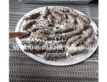 海參海鮮大型速凍機使用中
